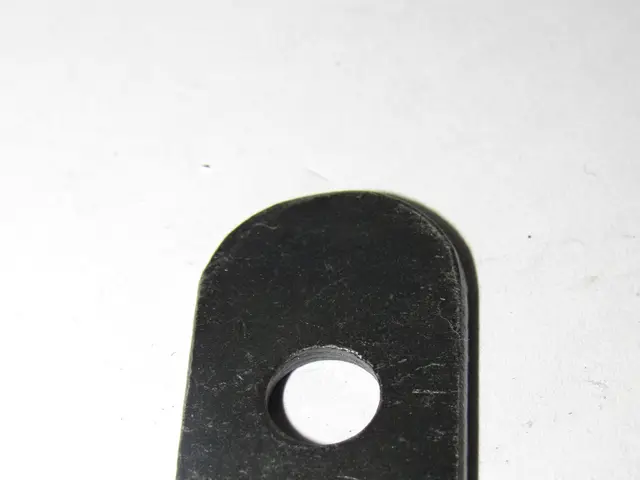 Oreja de fijación
